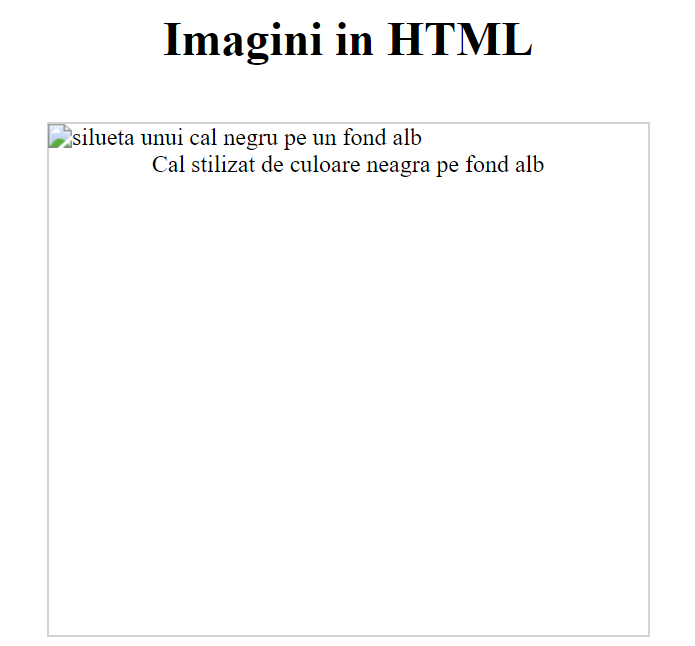 text alt si text figcaption