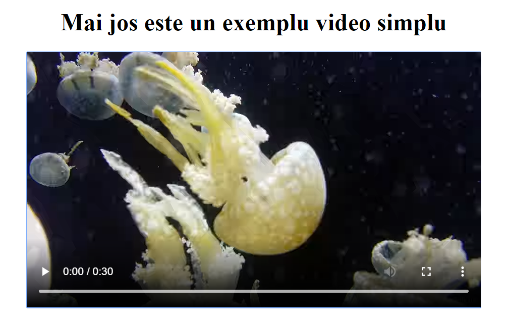 exemplu video