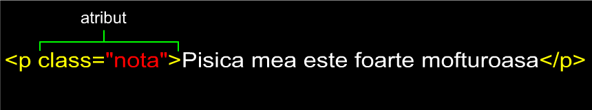 anatomie element html