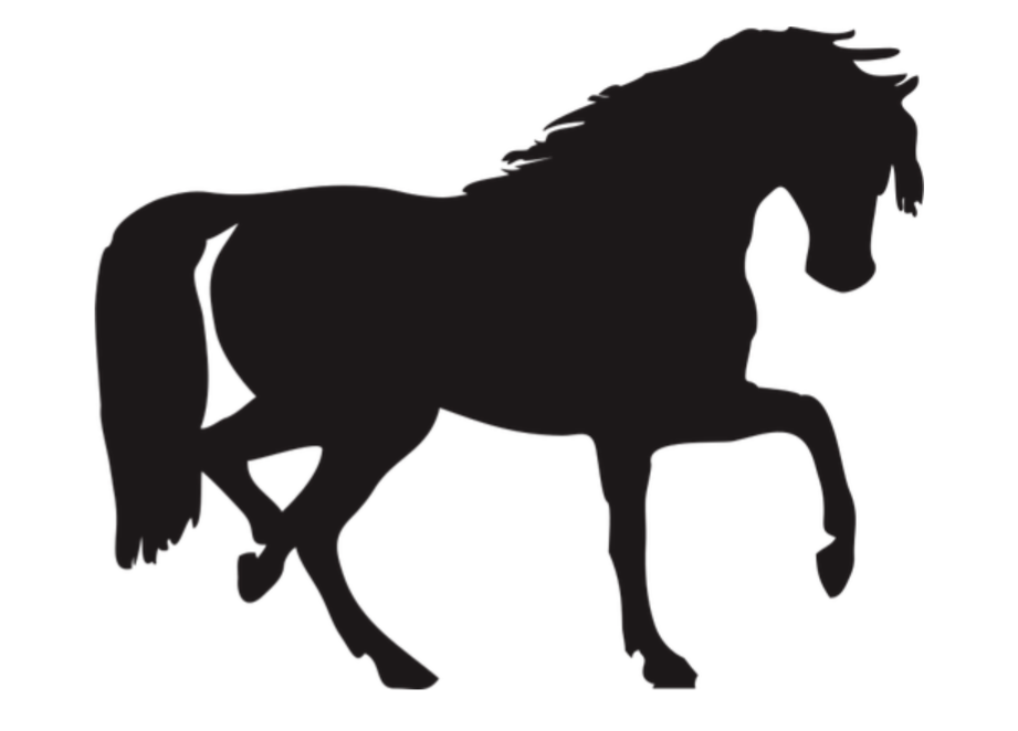 silhouette of a horse